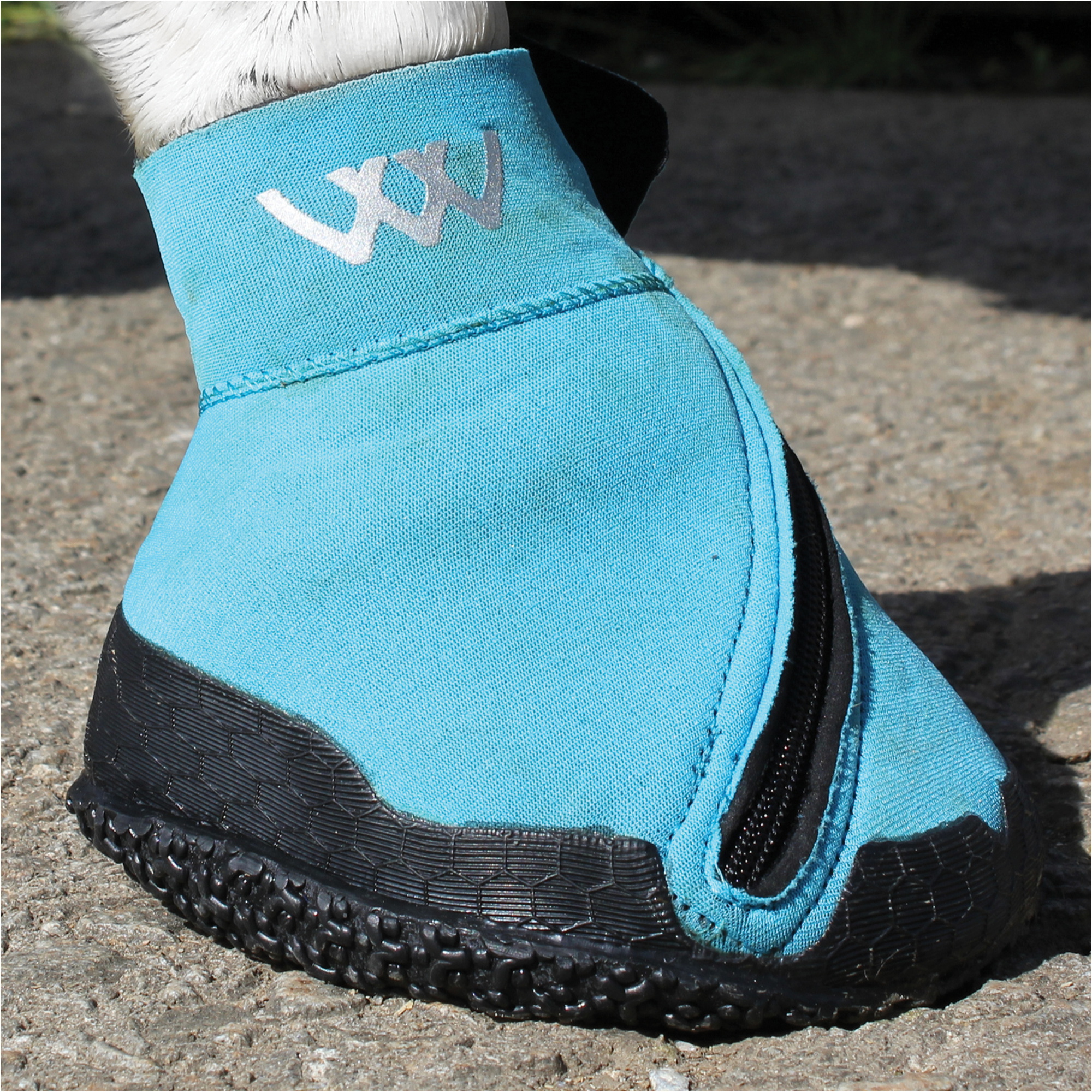 2026 Woof Wear Medical Hoof Boot WB0063 - Blue